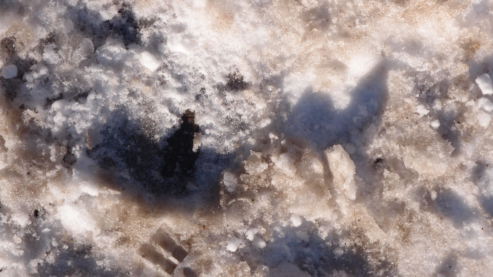 2021-01-30 Wasser in der Sple II, On-Off (Remix John Cage 'Sonatas & Interludes') (Komposition, Remix, Recording, Foto)
